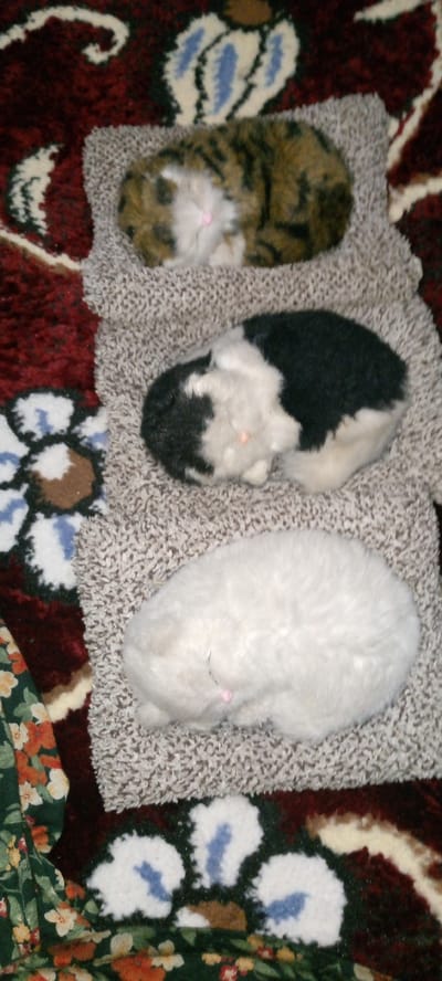 The image shows a close-up, overhead view of three plush toy cats lying on a textured rug. The cats are arranged vertically, with the top cat being a tabby pattern, the middle cat black and white, and the bottom cat all white. They appear to be sleeping, with their eyes closed and a relaxed posture. The rug has a neutral, speckled brown and gray color. The background is a detailed rug with a deep red base color and floral patterns in white, blue, and brown. There are also hints of green floral fabric visible in the lower left corner. The lighting appears to be from above, casting soft shadows. No specific time of day or weather conditions are discernible. There is no visible text in the image. The scene suggests a comfortable and cozy environment, possibly a home setting. The plush toys are the sole subjects, and they are not interacting with each other. The overall impression is one of tranquility and rest.