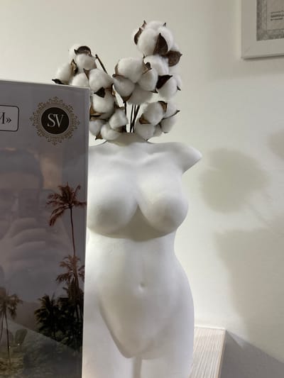 This image captures an indoor scene, located in the city of Zmeinyi, Russia. The primary subject is a white, matte-finished ceramic sculpture of a female torso, depicted from just above the breasts to the upper hips. From the neck opening of the torso, several branches of dried cotton bolls emerge, forming a natural arrangement. The cotton bolls are fluffy white, encased in dark brown husks.
To the left, partially obscuring the torso's lower section, is a reflective rectangular object, likely a display stand or a framed sign. Its surface reflects a blurred image of the photographer, identifiable by glasses and the outline of a camera or phone. On this reflective surface, a partial word ending in "M»" is visible, along with a circular logo featuring the letters "SV" in white on a black background, framed by an ornate gold/brown filigree pattern. Below the logo, an image of dark palm trees against a darker background is discernible through the reflection.
The background consists of a plain white wall. On the upper right, a white-framed picture or sign is mounted, containing blurry text that appears to be in Cyrillic script. A faint shadow cast by the torso sculpture and cotton branches is visible on the wall behind them. Beneath the torso sculpture, a light-colored, possibly wooden, horizontal surface or shelf is present. The overall lighting suggests an interior space with soft, indirect illumination.