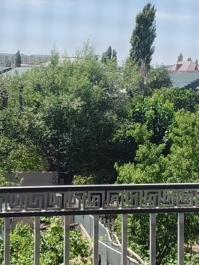 The image shows a view from a balcony with a decorative railing. Beyond the railing, lush green trees and foliage dominate the scene. In the background, buildings are visible, some with tiled roofs, suggesting an urban or semi-urban environment. A tall, slender tree stands out among the others. The sky is partly cloudy. This scene is likely located in Nukus, Uzbekistan, given the architectural style of the buildings and the presence of vegetation typical of the region.