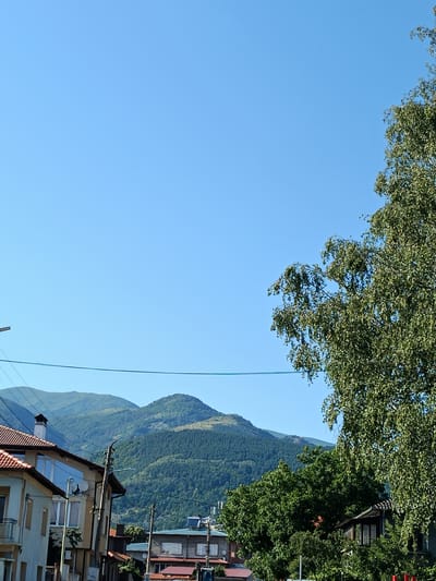 This image, captured in the city of Zlatitsa, Bulgaria, presents a view of a residential street with mountains in the background. A large deciduous tree with light green foliage dominates the right side of the frame, its branches reaching into the clear blue sky. In the foreground and mid-ground, several houses are visible. The house on the left has a terracotta tiled roof, cream-colored walls, and architectural details like a chimney and a balcony. A utility pole with wires and a satellite dish stands in front of it. Further down the street, more houses with varying roof types and colors, including some with darker tiles, are present, along with additional utility poles and wires. A dense forest covers the lower slopes of the mountains, which rise majestically behind the town. The sky is a vivid, cloudless blue, suggesting a clear, sunny day. There are no people or animals visible in the scene. The overall impression is of a serene, semi-urban environment nestled against a natural mountain landscape.