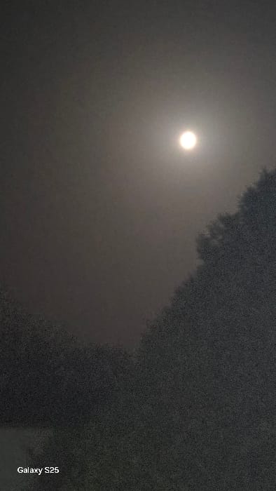 The image depicts a nighttime scene in Ottonville, France, characterized by a luminous celestial body against a dark, hazy sky, partially obscured by silhouetted tree foliage. A single, bright, circular white light source, consistent with the moon, is prominently positioned in the upper right quadrant, emitting a discernible halo effect through an atmospheric haze or thin cloud cover. The sky itself is a uniform dark gray. The lower portion of the frame features the dark, textured, and irregular outlines of dense tree canopies or foliage, silhouetted against the lighter sky. No individuals, animals, or man-made structures are visible. The overall environment suggests an outdoor setting at night with low visibility due to atmospheric conditions and limited light, primarily from the celestial body. The text "Galaxy S25" is present in white in the bottom left corner of the image.