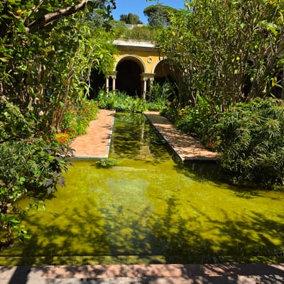 The image depicts a serene courtyard garden with a long, narrow pool of greenish water. The pool is flanked by paved walkways made of terracotta tiles. Lush vegetation, including trees with dark branches and green leaves, and flowering plants with small orange blossoms, borders the walkways. In the background, an arched architectural structure, painted yellow, is visible, supported by classical columns. The scene suggests a tranquil outdoor setting, possibly a private garden or a public park, given its manicured appearance and the presence of water features and foliage. The sky is clear and blue, indicating fair weather. This scene is located in Saint-Jean-Cap-Ferrat, France, a town known for its beautiful villas and gardens.