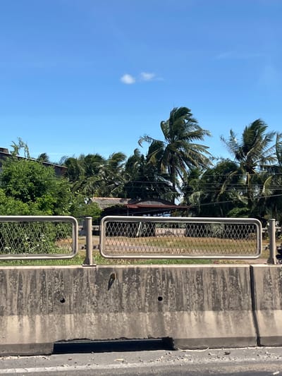 This image depicts a scene in Hồng Sơn, Vietnam, characterized by a clear blue sky with a single white cloud. In the foreground, a concrete barrier runs horizontally, exhibiting signs of weathering and staining. Above the barrier, a metal fence with a diamond mesh pattern separates the viewer from a grassy area and a cluster of palm trees and lush green foliage. Several buildings with tiled roofs are partially visible behind the trees, suggesting a semi-urban or rural residential area. The palm trees are swaying, indicating a breezy or windy day. The overall impression is one of a sunny, perhaps tropical, environment.
