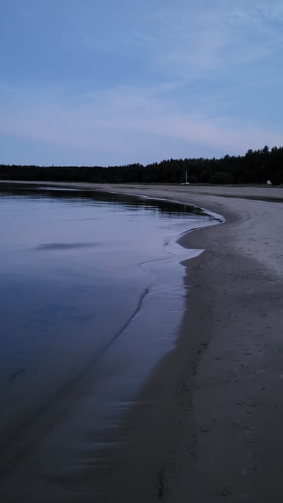 The image depicts a serene twilight scene at a sandy beach in Zaostrov'e, Russia. The sky is a pale, dusky blue with subtle streaks of lighter blue and pink, indicative of the fading daylight. A dark, dense line of trees forms the horizon, suggesting a forested area adjacent to the coast. The calm water of the sea gently laps at the sandy shore, creating a thin, reflective line of white foam where the waves meet the sand. The sand itself appears wet near the water's edge, darker in color, and gradually lightens as it recedes from the sea. There are no people visible in the frame, and no discernible objects other than a white structure, possibly a small boat or a marker, faintly visible on the beach in the distance. The overall atmosphere is one of quiet solitude and natural beauty.