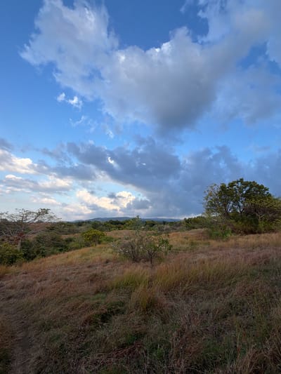 The image depicts an overcast sky over a hilly, grassy landscape in Kubutambahan, Indonesia. In the foreground, tall, dry grass covers the sloping terrain, with scattered patches of green vegetation and a few small trees. In the middle ground, the landscape continues with more trees and shrubs, some appearing leafless. In the background, a range of hills or mountains is visible beneath the clouds. The sky is a mix of blue and gray clouds, with some brighter areas suggesting sunlight breaking through. There are no people or animals visible in the scene. The overall impression is of a natural, somewhat arid environment.