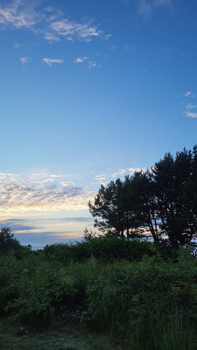 The image displays a serene landscape scene with a focus on the sky and vegetation. The sky is a prominent feature, with a clear, bright blue dominating the left side, transitioning into a band of dramatic, wispy clouds with hints of sunset colors near the horizon. These clouds are illuminated by soft light, suggesting either dawn or dusk.
On the right side of the image, a dense line of lush green vegetation forms a natural border, with tall trees silhouetted against the sky in the upper portion. The foliage appears wild and untamed, creating a natural, outdoor setting. The ground is not clearly visible, but the overall impression is one of a natural, undeveloped area.
The time of day is indicated by the lighting and cloud colors, pointing towards either sunrise or sunset. The weather appears clear and calm, with the soft light creating a peaceful and tranquil mood. There are no people or specific objects visible, nor any discernible text. The scene evokes a sense of natural beauty and quietude, characteristic of a rural or coastal environment. The location context of Rohuneeme, Estonia, implies a possibility of this being a coastal scene, which aligns with the open sky and natural vegetation.