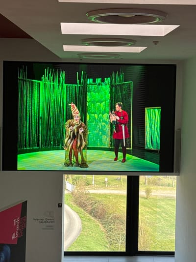 The image depicts an indoor scene within a cultural facility in Altenheim, Germany, identified by signage for "THEATER BADEN ALSACE" and "Werner Ewers Skulpturen." A large, wall-mounted display screen dominates the upper half of the frame, showing a theatrical performance. On stage, two male actors are present: one on the left in an elaborate, multi-colored jester-like costume with a striped conical hat, gesturing with both hands; the other on the right in a red medieval tunic with a sheathed sword, holding a brown, head-shaped prop and looking towards the first actor. The stage backdrop is predominantly green, featuring tall, thin vertical elements resembling reeds, a stylized green castle structure, and a green draped curtain. Below the screen, a large window reveals an outdoor view of a grassy landscape with sparse vegetation and a curved paved path. The interior features light-colored walls and a ceiling with circular and rectangular recessed lighting fixtures. A silver speaker bar is mounted to the right of the screen.