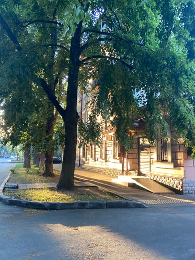 The image depicts a street scene in Nyzhni Mlyny, Ukraine, characterized by a row of mature trees lining a sidewalk and an asphalt road. The sun is low in the sky, casting long shadows and bathing the scene in warm, golden light, suggesting it is either early morning or late afternoon. The trees, with their dense green foliage, partially obscure a building on the left side of the frame. This building appears to be a multi-story structure with windows featuring decorative wrought-iron railings. The architecture suggests an older, possibly residential, building. The foreground is dominated by the asphalt road and a raised curb. The grass and patches of fallen leaves on the side indicate it's likely autumn. No people are visible in the frame, creating a sense of quietude. The overall atmosphere is peaceful and serene, bathed in the gentle glow of the setting or rising sun. There is no visible text in the image.