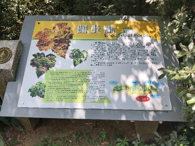 A sign, likely made of metal, stands on a small concrete base in the middle of a forest. The sign is in good condition. It features the words "Broad-leaf Forest" in English, along with a description of the forest in Chinese. Below the text, a map of the forest is depicted, with several different areas indicated. The sign is situated in a forest, the specific location being near the Wuhan Botanical Garden, Wuhan, China (latitude 30.546, longitude 114.419).