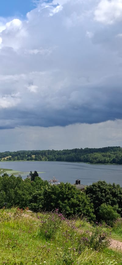 The image depicts a scenic overlook of a body of water, likely a lake, bordered by lush green trees. In the foreground, a grassy hill dotted with purple wildflowers and white blooms slopes gently downwards. A dirt path is visible on the right side of the frame, winding through the vegetation.
The water is calm and reflects the cloudy sky. Several boats are moored near a dock, and a small, dark-roofed building is situated on the shoreline, partially obscured by trees. The background is filled with a dense forest that covers rolling hills. The sky is dramatic, with heavy, dark clouds dominating the upper portion of the image, suggesting an impending or recent rain shower.
While the image showcases a beautiful natural landscape, there are no visible people or specific landmarks that would definitively place it within the city of Viljandi, Estonia. The scene is characteristic of a rural or semi-rural lakeside environment.