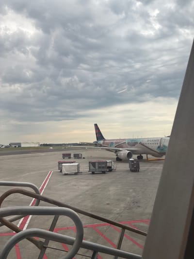An airplane with the Brussels Airlines livery is parked on the tarmac at Brussels Airport in Steenokkerzeel, Belgium. The aircraft, a passenger jet, is decorated with an artistic mural featuring images and text. The airport apron is visible, with several baggage carts and a tug positioned near the plane. In the background, airport buildings and hangars can be seen. The sky is overcast with dramatic clouds. The foreground shows a portion of a passenger boarding stair or jet bridge, with metal handrails.