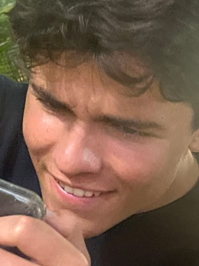 The image displays a close-up portrait of a single young male individual, located in Rolling Hills Estates, United States. The subject has dark, wavy hair and prominent dark eyebrows. His light-toned complexion shows areas of specular highlight on the forehead, nose, and left cheek, indicating a direct light source. He is smiling, revealing his upper dentition, and his gaze is directed downwards and to the left of the frame. The subject is wearing a dark, possibly black, crewneck garment. His right hand is partially visible, positioned with fingers near the chin, partially obscuring a dark, reflective object, consistent with an electronic device or cylindrical item, which the subject appears to be observing. The background is out of focus, displaying indistinct green shapes indicative of foliage or plant life.