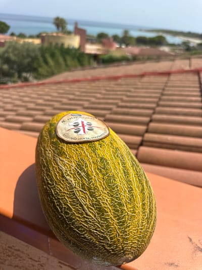 In a close-up shot, a ripe melon with a distinctive yellow and green striped rind rests on a reddish-orange tiled surface. A circular sticker on the melon displays a crest with a red cross on a white background, and text reading "IL NURAGICO" and "Antico nella storia, moderno." The background is blurred, revealing a distant view of the Mediterranean Sea and the coastline of Villaputzu, Italy, characterized by buildings with terracotta roofs and lush green vegetation, under a clear blue sky.