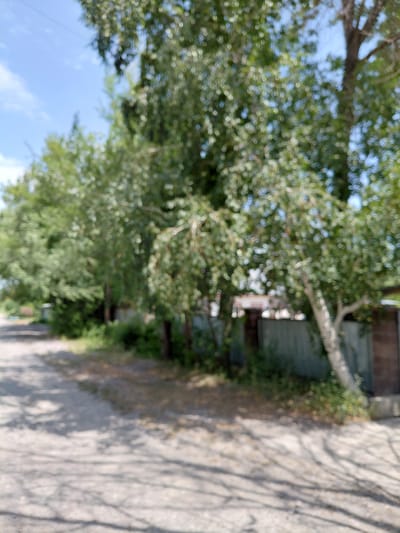 A slightly out-of-focus, daytime, outdoor scene captures a dirt road lined with trees and a metal fence. The road appears to be unpaved and is partially covered in shadows cast by the trees. On the right side of the road, a light-colored, weathered metal fence runs along the property line, with some greenery visible behind it. A tree with light-colored bark is prominent in the foreground on the right, leaning slightly towards the road. The sky above is blue with some wispy clouds. The overall impression is a quiet, possibly rural or suburban setting. The location in the city of Бұлақты, Kazakhstan, is consistent with this type of scenery.