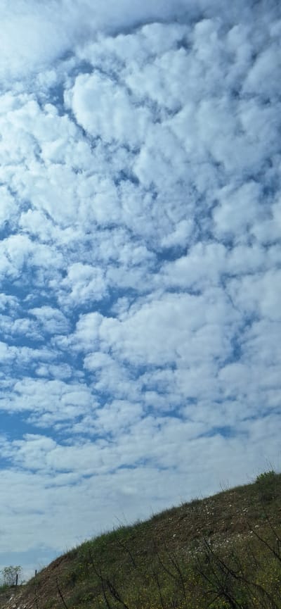 The image shows a view of the sky with numerous small, puffy white clouds against a blue background. The clouds cover the majority of the frame. Along the upper right edge of the image, there is a strip of land covered in green vegetation and some bare branches. The vegetation appears to be growing on a slope. The image is likely taken outdoors in Leshnitsa, Bulgaria.
