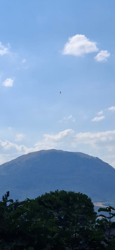 This image captures a sky-facing scene with a large mountain dominating the right side and a clear blue sky with scattered white clouds on the left. A small, dark object, possibly a drone or a bird, is visible in the sky. Lush green foliage from a tree frames the lower right portion of the image, obscuring part of the mountain and sky. The lighting suggests it is daytime, likely late afternoon given the soft light and shadows. The scene appears to be outdoors, in a natural setting, possibly in Camerino, Italy, as suggested by the location context. The overall mood is serene and natural, with the vastness of the sky and mountain contrasting with the detailed texture of the foliage. There is no visible text in the image.