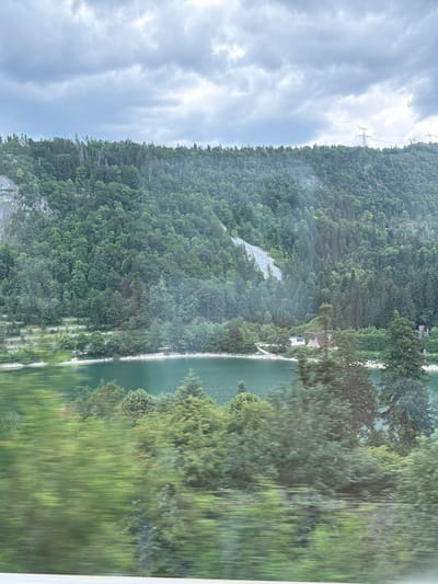 This media file displays a scenic view of a wooded mountainside adjacent to a body of water. The scene is dominated by lush green foliage covering the slopes, with a lighter, rocky area visible on the mountainside in the mid-ground. A calm, dark green body of water runs parallel to the mountain. On the shore of the water, there appears to be a small building or structure, and a path or road. The image is oriented vertically, with the sky occupying the left portion and the landscape filling the right. The sky is overcast with dramatic, grey clouds. The overall impression is one of a natural, somewhat wild landscape. The time of day appears to be daytime, given the illumination, but the overcast conditions suggest it might not be bright sunlight. There is no visible text in the image. The image appears to have been taken from a moving vehicle, as indicated by the motion blur, particularly in the foreground vegetation on the right.