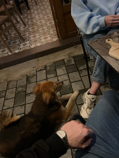 The image depicts an outdoor scene in what appears to be a cafe or restaurant. Two people are seated at a table, with parts of their clothing visible. One is wearing a light blue sweatshirt, while the other is wearing blue jeans and white sneakers. The second person has a wristwatch. A dog is lying on the ground under the table, amidst cobblestone paving. The location includes ornate patterned floor tiling near wooden chairs or a seating area. Xanthi, Greece is not verifiable from the image.