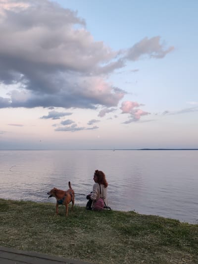 A medium shot shows a young woman with curly red hair and a dog on a leash sitting on a grassy bank next to a body of water. The woman is wearing a light-colored cardigan and a pink backpack. The dog is brown and appears to be a medium-sized breed. The water is calm, reflecting the pale blue and pink hues of the sky. In the distance, a sailboat and a hazy moon are visible. The sky is filled with soft, scattered clouds, some tinged with pink. The overall setting suggests a serene evening by the water, possibly in the Нарацкі сельскі Савет region of Belarus, given the time of day and scenery.