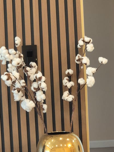 A close-up shot captures two branches of cotton bolls, one on the left and one on the right, emerging from a shiny gold vase. The vase is positioned in the foreground, with the branches extending upwards. The background features a wall with vertical wooden panels in shades of light brown and black. On the left side of the wall, a dark rectangular object, possibly a light switch or electrical outlet cover, is visible. The overall scene is static and appears to be an indoor setting. The location is not specified in the image.