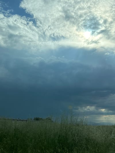 The image depicts a view in Пловдив, Bulgaria, split between the sky and the ground. The sky occupies the left side and upper center, with white cumulus clouds scattered across a light blue background, partially obscuring the sun. To the right, the sky transitions to a darker, more overcast area. The ground, seen on the right side, is covered with tall, green grass and some sparse trees in the distance. The image is rotated 90 degrees counter-clockwise.