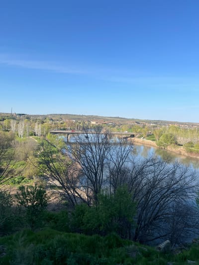 An elevated panoramic view captures the Tagus River flowing through a verdant landscape under a clear, bright blue sky in Toledo, Spain. In the foreground, dense, dark green foliage and the intricate, bare branches of several deciduous trees partially obscure the immediate riverbank. The Tagus River, reflecting the bright blue sky, dominates the midground, flowing from left to right. A multi-arch concrete road bridge spans the river; a red sedan is observed traversing its deck from left to right. A white van is visible on a road further to the right, on the far bank. The riverbanks are lined with diverse vegetation, including trees with budding green leaves, others still bare, and visible dirt paths. In the distant background, rolling hills covered with sparse greenery support scattered urban structures and a prominent, tall, dark-colored communication tower on the left horizon. The scene is illuminated by bright daylight, casting distinct shadows, indicative of a sunny day. No individuals are explicitly visible.