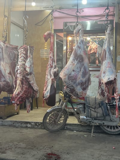 The image depicts an outdoor view of a butcher shop entrance in Al-Qadam Municipality, Syria, characterized by multiple animal carcasses hanging from overhead hooks. Five large, partially skinned carcasses, likely beef or lamb, are suspended from metal hooks on an overhead rail structure, with visible flesh, bone, and internal organs. The second carcass from the right distinctly shows an extended trachea/esophagus and a dark organ resembling a liver. Directly beneath the hanging meat, the concrete ground displays multiple dark red bloodstains, including a distinct puddle.

A red and black "AKKAD" brand motorcycle is parked on the sidewalk, positioned facing left, directly beneath the central carcasses. It features a chrome front fender, a gold-colored headlight housing, and a worn, patterned rug or blanket draped over its seat. The motorcycle appears dusty. The shop's entrance behind the meat features a light pink facade above a glass storefront, revealing interior lighting and what appears to be a sign with Arabic script. A blue plastic crate is partially visible on the ground to the far left. No individuals are clearly visible interacting with the scene in the foreground.