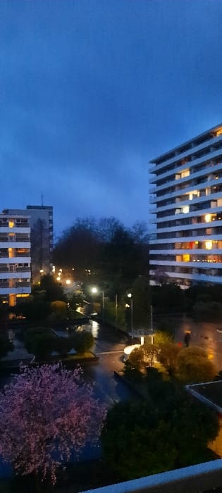 The image presents an elevated view of a residential area in Kerpen, Germany, captured during dusk or early night under an overcast, blue-grey sky. Artificial lighting from streetlights and illuminated windows of surrounding buildings is active, with ground surfaces appearing wet and reflective, consistent with rain or recent precipitation.
Two multi-story residential buildings are prominent. A tall, white building with numerous balconies and illuminated windows dominates the right side of the frame. A second, shorter white residential building with visible illuminated windows stands on the left.
Between these structures is a landscaped courtyard featuring multiple trees and shrubs. Several streetlights illuminate paved pathways within this area, their light reflecting distinctly off the wet surfaces. In the lower-left foreground, a deciduous tree with dense pink blossoms is visible.
One individual is discernible in the middle-right portion of the image, walking on a wet paved surface while holding a bright orange umbrella.