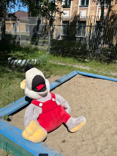In a sandpit with worn blue and green wooden borders, a large plush toy resembling a duck-like character lies on its back. The toy is primarily grey with yellow feet and ears, wearing a red pair of overalls with white buttons. Its face is white with a black mask around its eyes and an open mouth revealing a red tongue. The sandpit is surrounded by a patchy green lawn, with a concrete tire segment painted green and white in the background. Beyond the lawn, a metal picket fence runs horizontally, separating the sandpit area from a weathered yellow building with rows of windows. The scene is set outdoors under a clear blue sky, with sunlight casting shadows from trees and the fence onto the ground and building. The location is identified as Guryevsk, Russia.