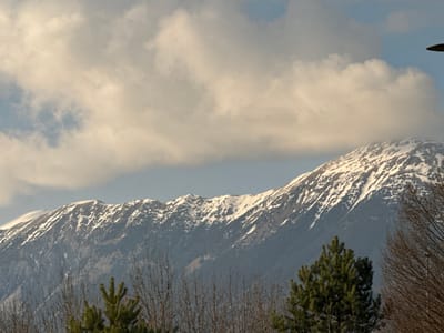 The image depicts a panoramic landscape captured in Radovljica, Slovenia. A prominent range of snow-capped mountains extends across the middle ground, displaying rugged peaks and slopes covered in white snow intermingled with exposed dark rock and patches of vegetation. Above the mountains, the sky transitions from clear light blue to a canopy of large, textured, light-toned cumulus clouds, suggesting a partially overcast daytime. The foreground is occupied by a variety of trees; bare deciduous trees with intricate branch structures are visible on the left and right sides, while a dense cluster of dark green coniferous trees stands centrally in the lower frame. A dark, curved, man-made object is partially visible entering the frame from the extreme upper right corner. No human figures or discernible actions are present.