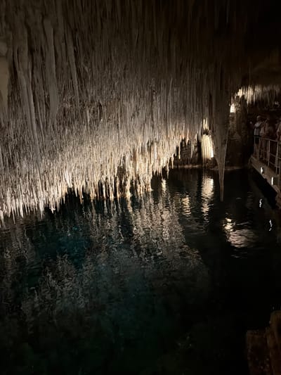 The image shows the Caves of Drach in Manacor, Spain. The left side of the image depicts a rock formation with stalactites. The right side of the image depicts water. The stalactites are white and are illuminated by artificial light. The water is dark and reflects the light.
