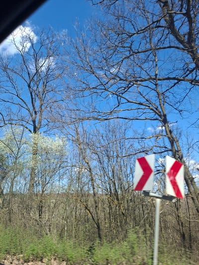 The image shows a view from Studeno Buche, Bulgaria, under a bright blue sky dotted with clouds. Tree branches, some bare and some with emerging white blossoms, fill the lower portion of the frame. In the upper right, a white sign with red chevron markings is visible, possibly indicating a bend or curve in the road. To the right of the sign, a dense line of trees and green foliage suggests a wooded area bordering a roadside. The image is oriented at an angle, possibly taken from a moving vehicle. A portion of a car’s interior can be seen in the lower left.