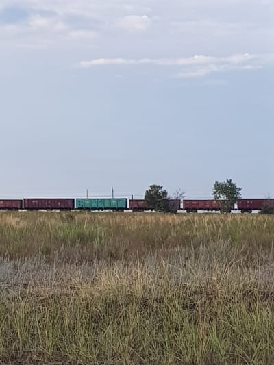 A freight train is passing through a rural area. The train consists of several cars, some of which are red and some are teal. The train is moving from left to right. The foreground of the image is filled with dry grass and some green vegetation. In the background, there are a few scattered trees and a vast, pale blue sky with sparse clouds. The image appears to have been taken during the daytime.