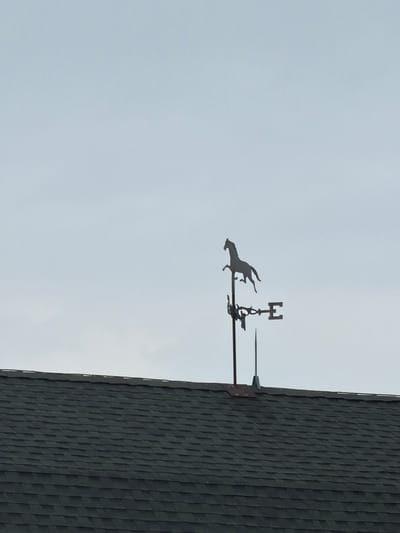 A silhouette of a horse weathervane is visible against a pale blue sky, positioned atop a dark green asphalt shingle roof. The weathervane is mounted on a pole with directional indicators, including an "E" for east. A thin, pointed object, possibly an antenna, extends downwards from the weathervane's mounting. The roof appears to be part of a building structure located in Mattituck, United States of America.