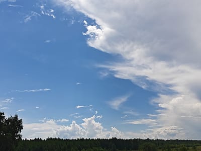 The image depicts a wide, panoramic view of a rural landscape under a dynamic sky. A dense line of dark green trees forms the horizon, stretching horizontally across the lower portion of the frame. Above the tree line, a vast expanse of blue sky is visible, dotted with a variety of clouds. On the left side of the sky, the blue is clear and bright, with scattered, wispy white clouds. As the eye moves towards the right, the clouds become larger, more voluminous, and denser, transitioning into a thick bank of white and grey cloud cover that dominates the upper right quadrant of the image. The overall impression is one of a bright, partly cloudy day in an open, natural setting. The image appears to have been taken in or around Malaya Tsarevshchina, Russia, judging by the context provided. There are no people or animals visible in the image, and no discernable structures or man-made objects other than what might be a distant tower or antenna protruding slightly from the tree line on the far right. The foreground consists of the tops of the trees, and the mid-ground is the forest itself. The background is the sky.