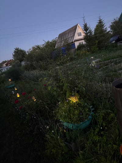 A low-angle, outdoor, nighttime shot depicts a garden and a house in Severnyy, Russia. The sky is a deep twilight blue with visible power lines spanning across the upper portion of the image. A two-story house with a steeply pitched, weathered gray roof is visible on the right, surrounded by trees and vegetation. A dark-colored vehicle is parked near the house. The foreground is filled with dense garden foliage, including rose bushes with red blooms, and various other plants. Several small, decorative lanterns with glowing yellow light are placed along a green wire fence. A large, dark brown planter is partially visible on the far right. The overall atmosphere is serene and rural.