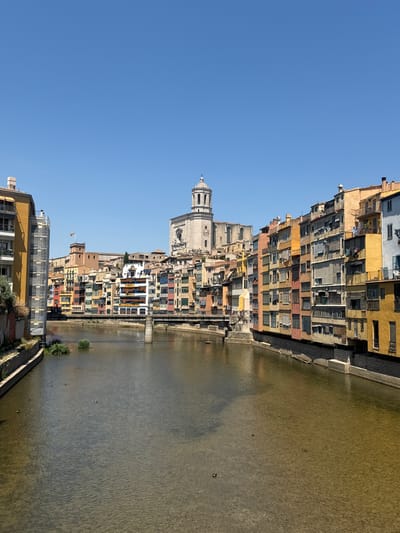 This is a vertically oriented photograph of the Onyar River in Girona, Spain. The scene showcases a row of colorful, multi-story buildings that appear to be residences or businesses, lining the riverbank. These buildings exhibit a variety of architectural styles and are painted in warm hues of yellow, orange, pink, and beige, with visible windows, balconies, and some laundry hanging out.
On the left side of the image, a prominent white stone cathedral with a domed tower stands tall, dominating the skyline of the buildings. The river itself is wide and appears murky brown, with several small objects that could be ducks swimming on its surface. The banks of the river are reinforced with stone walls and pathways.
The sky is a clear, bright blue, suggesting a sunny day. The sunlight casts shadows on the buildings, indicating it is likely daytime, possibly morning or afternoon. The overall mood of the photograph is tranquil and picturesque, capturing a charming European riverside scene. There is no visible text in the image.