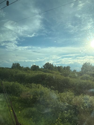 The image shows a view of a cloudy sky with the sun shining through. A row of green trees or bushes are on the right side of the frame. Electrical wires and a utility pole are visible on the left. The location is likely a rural area as evidenced by the vegetation. There is no clear indication of people, specific actions, or interactions visible in the image. It is hard to ascertain whether it is in Malaya Purga, Russia with only a photograph to examine.