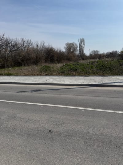 The image depicts an outdoor scene in Voyvodinovo, Bulgaria, under a clear, light blue sky featuring a single faint contrail. In the foreground, an asphalt road surface occupies the lower half of the frame, marked by a continuous white line near the center. Small dark spots are scattered on the road. Above the road, a light grey paved sidewalk, constructed from rectangular blocks, is separated by a darker grey curb. A prominent, elongated dark shadow, consistent with an unseen vertical object to the left, stretches across the sidewalk and partially onto the road. Beyond the sidewalk, a strip of unkempt ground with dry brown grass and patches of green, low-lying vegetation is visible. Further back, a dense concentration of leafless deciduous trees and shrubs forms the background, suggesting late winter or early spring. Several large, dark bird nests are distinctly visible within the upper branches of these bare trees on the left side. Toward the right, taller, slender trees stand in the distance, alongside a single dark-colored utility pole. No people, animals, or discernible actions are present in the scene. The overall lighting is bright daylight, casting defined shadows.