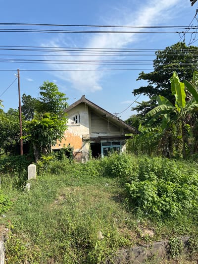 The image depicts a dilapidated two-story house overgrown with vegetation in Gedang, Indonesia. The house, with its peeling orange and yellow paint, appears abandoned. The roof is slanted, and the windows are either boarded up or broken, with one visible window on the upper floor having a lattice pattern. The lower floor shows an open doorway and a light blue-framed window. Lush green foliage, including banana trees and various bushes, engulfs the property. A weathered utility pole stands to the left of the house, with multiple power lines stretching across the bright blue sky, which is dotted with a few wispy clouds. A concrete marker is visible in the foreground, surrounded by tall grass. The scene suggests a remote, possibly rural, setting within the city.
