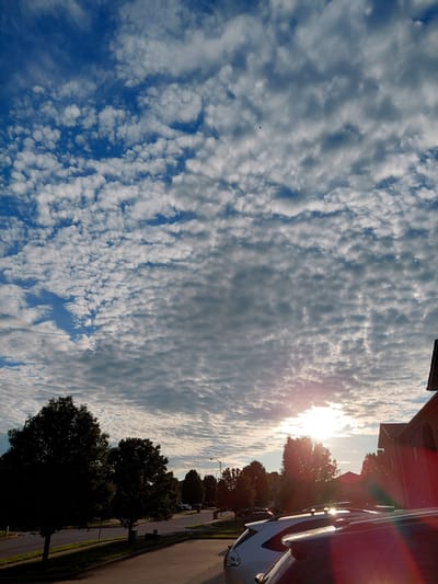 The image depicts a sky filled with a pattern of altocumulus clouds, illuminated by the setting or rising sun, which creates a lens flare. In the foreground, the rooftops of several vehicles are visible, suggesting a parking lot or residential area. To the left, silhouetted trees stand against the bright sky, with a street and sidewalk visible behind them. In the distance, more trees and buildings can be seen, including the corner of a brick building on the right side of the frame. The scene appears to be in Berea, United States of America, likely during the late afternoon or early morning.