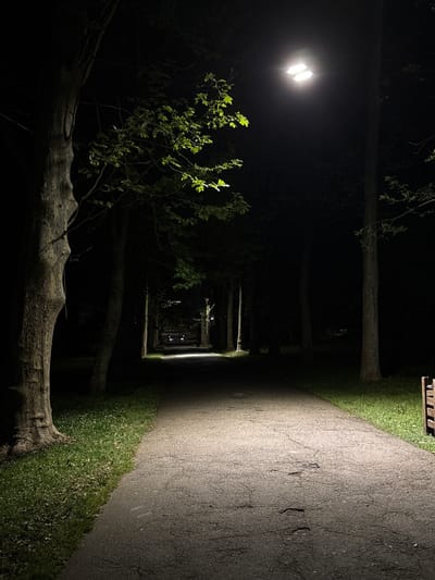 The image depicts a pathway at night, illuminated by a street lamp. The path is lined by trees, creating a tunnel-like effect. The location is inferred to be within Vrnjacka Banja Municipality, Serbia, based on the prompt, but this is not visually confirmed. There are no people visible in the frame. The environment is dark, with light concentrated on the path and nearby foliage. The path appears to be paved, with grass growing along its edges. A fallen tree trunk is visible in the foreground.