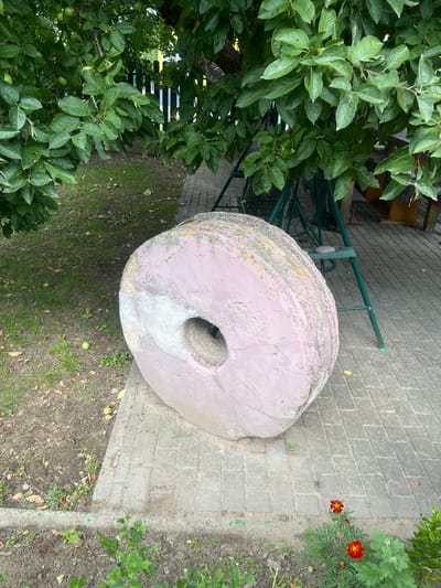 In Zhaludok, Belarus, an outdoor scene unfolds beneath a leafy apple tree. A large, pinkish-gray, circular millstone, approximately one meter in diameter with a central hole, rests on a paved walkway. Its surface shows signs of wear and is partially covered in patches of light-colored material and yellow lichen. Scattered green apples lie on the grassy area to the left of the millstone. In the background, a green metal swing set is visible, and behind it, a white and green striped wooden fence. A small cluster of red and yellow flowers grows in the foreground on the right. The environment appears to be a garden or park area, with trees, grass, and paving stones suggesting a well-maintained outdoor space. No people are present in the frame.
