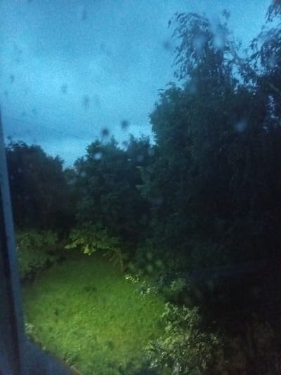 The image depicts an outdoor scene at dusk or under overcast skies, with a dark, possibly blue-gray sky. The foreground is dominated by a view through a window, evidenced by what appear to be water droplets or smudges on the glass. To the left, a dark vertical object, possibly a window frame or a partial view of a building, intrudes into the frame.

The middle ground features a lush green lawn, illuminated by an unseen light source, casting a vibrant glow on the grass. Beyond the lawn, a dense arrangement of trees and foliage forms a dark, shadowy backdrop. The trees are full and appear to be in leaf. The overall impression is of a garden or park area seen from an interior vantage point, possibly during or after rain. The image does not provide specific landmarks or details that would allow for identification of the city of Alatyr, Russia.