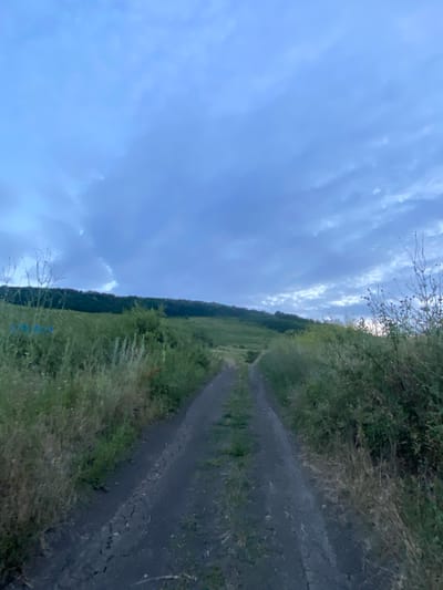 A dirt road runs through tall grass and vegetation, leading up a gentle slope towards a tree-lined hill under a cloudy, twilight sky. The sky is a deep blue with diffused light peeking through the clouds, suggesting either early morning or late evening. The vegetation consists of various grasses, some dry and straw-colored, others green and lush, with scattered thorny bushes and tall, thin plants with seed heads. The road is narrow and appears to be slightly wet in places, with tire tracks visible. The overall environment suggests a rural or semi-rural setting, possibly on the outskirts of the city of Horodca, Moldova. There are no people or animals visible in the frame. The image conveys a sense of quiet and natural scenery.
