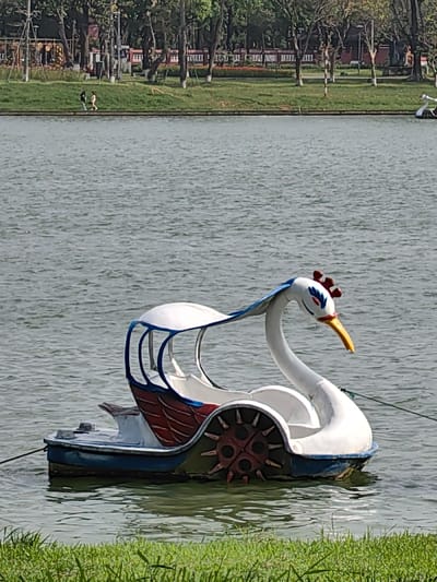 An unoccupied white swan-shaped pedal boat floats on a ripple-surfaced body of water in Thuận Hóa Ward, Vietnam. The boat features blue trim along its base and canopy support, red wing-like patterns on its sides, and a brown/red paddle wheel. The swan's head is white with blue eye markings, red comb-like details, and a yellow beak. A dark line, possibly an anchor rope, extends from the rear of the boat into the water. In the distant background, across the water, a grassy embankment is visible, upon which two individuals are walking. Behind the embankment, a line of trees with varying foliage density stands before faintly discernible urban structures. A patch of green grass is visible at the immediate bottom edge of the frame.