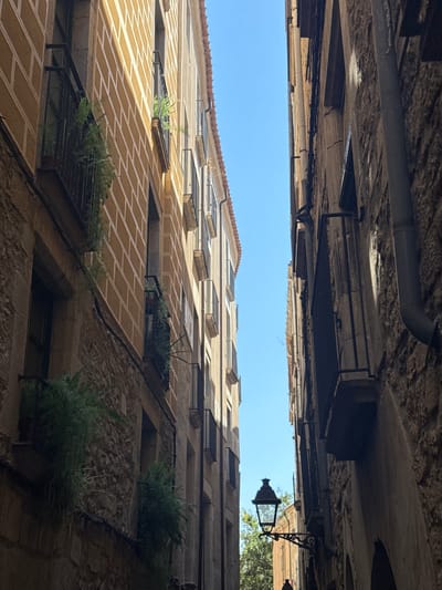 This is a low-angle shot looking up at the architecture of a narrow street, likely in Girona, Spain. The image is oriented such that the sky is in the middle, with buildings rising on either side. The buildings are old, with stone and stucco facades, and feature many windows. Some windows have wrought-iron gratings or small planter boxes containing greenery, such as ferns. The roofs of the buildings are visible at the top of the image, with terracotta tiles and visible conduits and pipes. A traditional gas street lamp hangs from a bracket on the right side of the frame. The overall impression is one of a historic, dense urban environment bathed in bright daylight, suggesting a clear day. The shadows cast by the architecture indicate the sun is high in the sky, likely midday. There are no people visible in the image. The scene evokes a sense of timelessness and the charm of old European cityscapes.