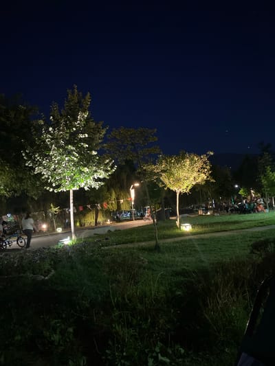 The image captures a nighttime scene in what appears to be a park or outdoor gathering area, possibly Yunus Emre, Turkey. The sky is a deep, dark blue, suggesting it's nighttime, with a few faint stars visible. The foreground features lush green grass and dense foliage.
In the middle ground, several trees are illuminated, their leaves brightly lit, creating a contrast with the dark sky. One tree in particular, with white-lit leaves, stands out. Scattered around are various objects, including what seem to be benches or seating areas, and some streetlights that cast pools of yellow light on the ground.
Further back, a group of people are gathered, their forms silhouetted against the lights. They appear to be seated or standing in an organized fashion, possibly attending an event. Small flags are strung between poles, adding a decorative element to the scene. A road or pathway runs alongside the grassy area, with more lights and what look like parked bicycles at the bottom of the frame. One person is seen near the bicycles.
The overall atmosphere suggests a social gathering or a public event taking place outdoors after dark. The lighting, though artificial, highlights the natural elements of the park.