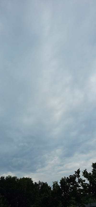 This media file depicts a sky filled with light, wispy clouds. The sky takes up the majority of the frame, with a section of dark green trees visible along the right edge, creating a silhouette against the lighter sky. The image is oriented vertically, with the trees appearing on the right side and the sky filling the rest of the frame.

The clouds suggest it is daytime, likely overcast or partly cloudy. The presence of trees indicates an outdoor setting, possibly a park, forest edge, or a residential area with significant greenery. There are no people or distinct objects visible, the focus being on the natural elements of the sky and trees. The overall mood is calm and natural. The location context provided is Butovo, Russia. There is no visible text within the image.