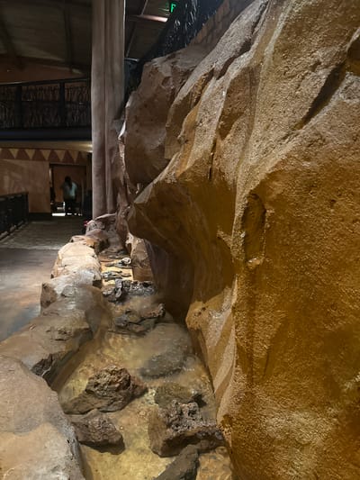 The image depicts an indoor environment simulating a rock cave in Bay Lake, United States. The "cave" ceiling and walls are textured in tan and brown hues, suggesting a geological formation. Water appears to be running down the rock surfaces in places.

Visible to the left is a partial view of a manmade structure with wooden beams, metal railings, and a dark tiled floor, indicating a transition between the simulated cave and an artificial environment. The presence of what looks like the top of a head is visible in the middle of the image.
